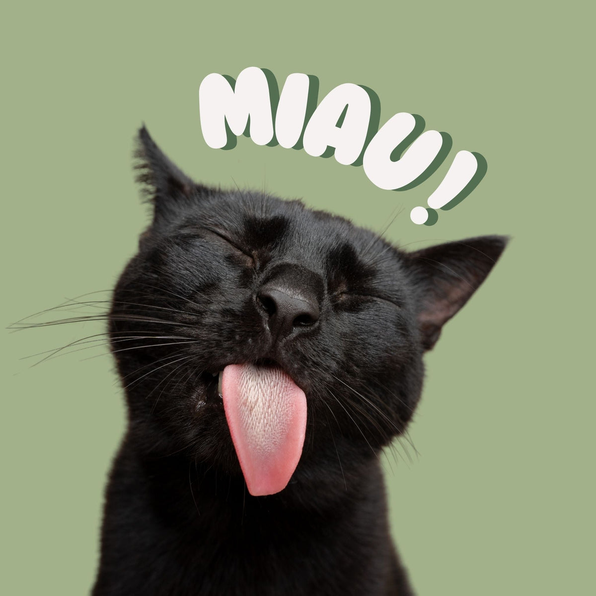 Katzensnacks