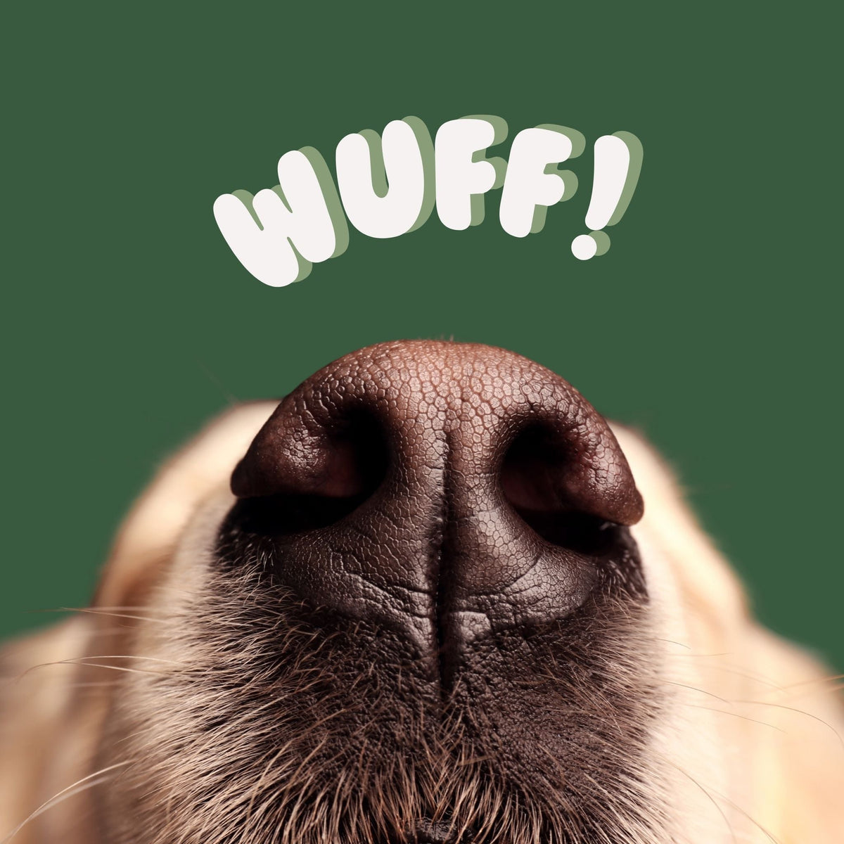 Hundekekse