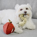 Lambwolf Schnüffelspielzeug Apfel