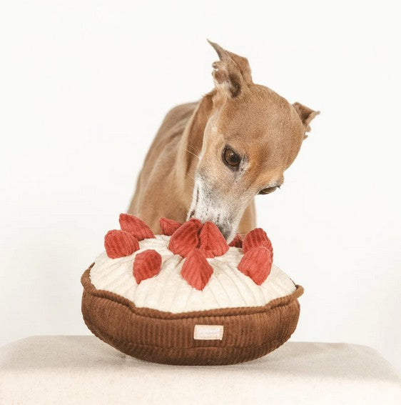 Lambwolf Himbeertorte – Schnüffelspielzeug